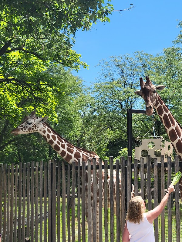 Brookfield Zoo Chicago
