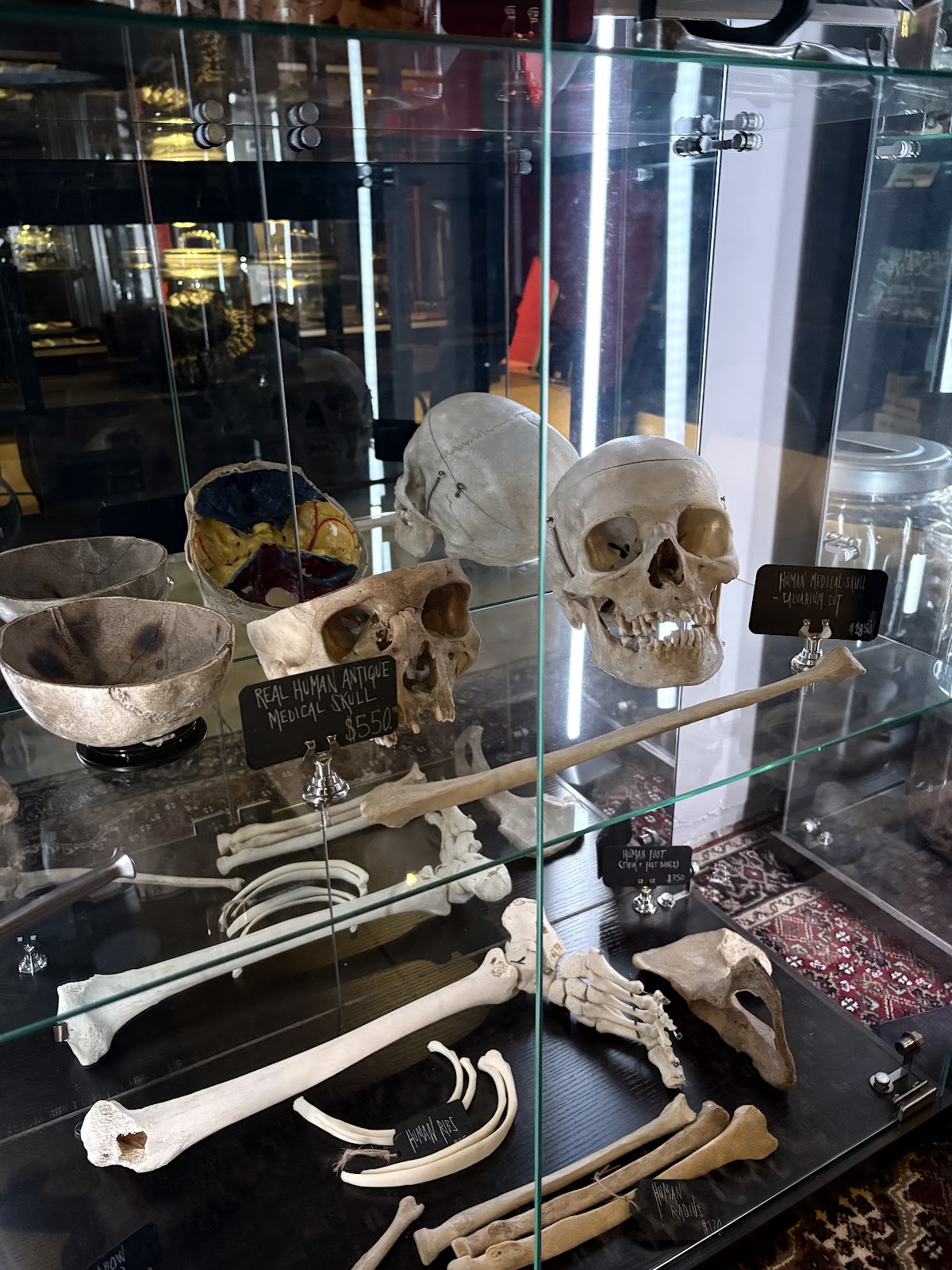 Covet Oddities