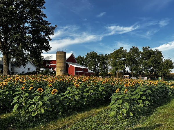 Honey Hill Orchard