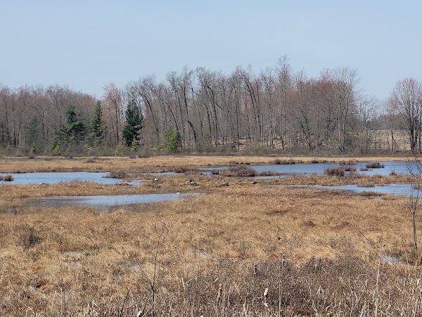 Saul Lake Bog Nature Preserve
